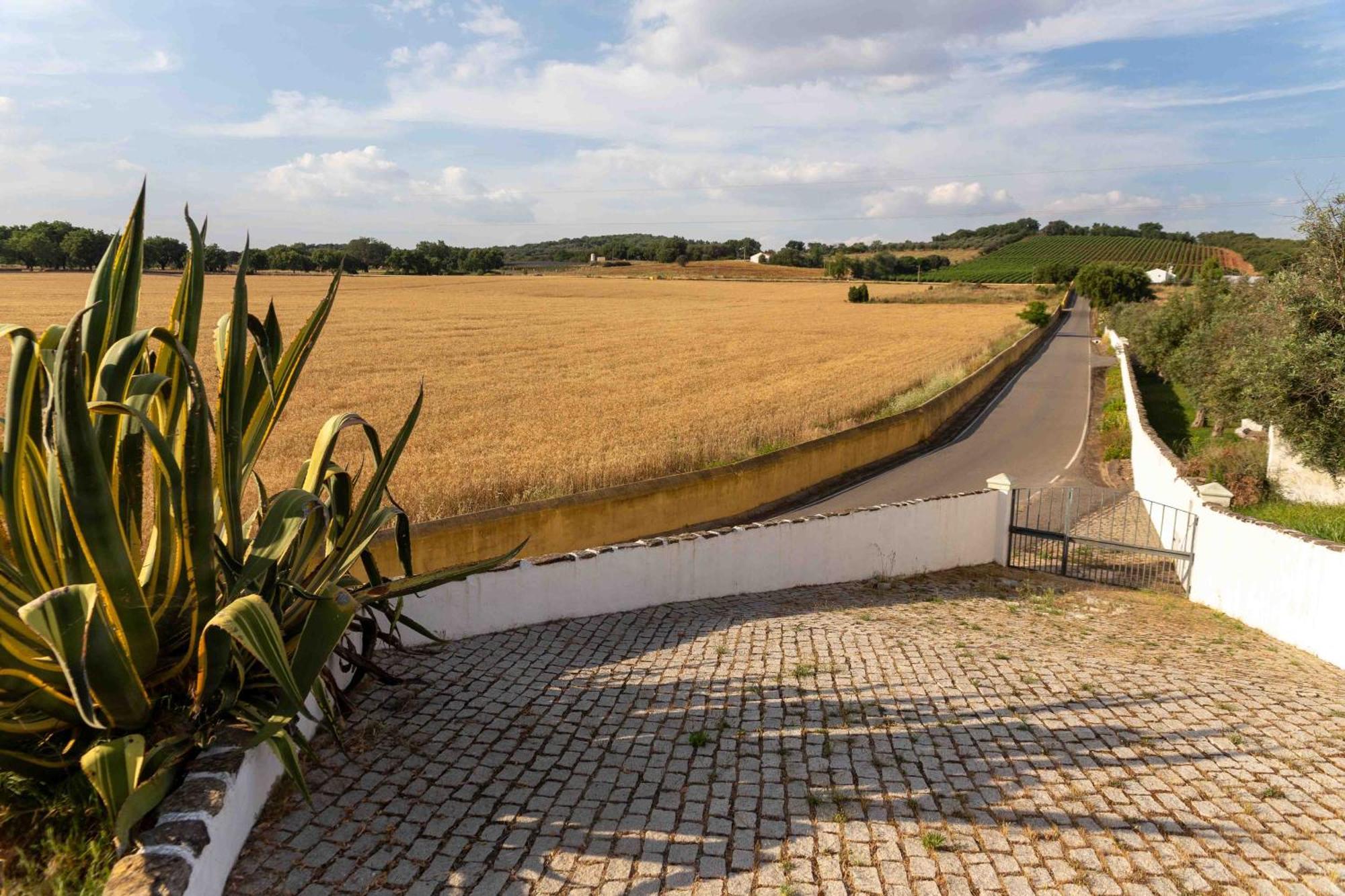 Monte Das Oliveiras - Casas De Campo Estremoz Exterior photo